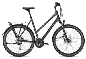 Raleigh RUSHHOUR 4.0 XXL 28TR in grey