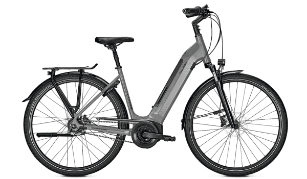 Raleigh BRISTOL PREMIUM Wave Grey