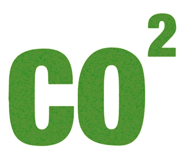 Logo CO2