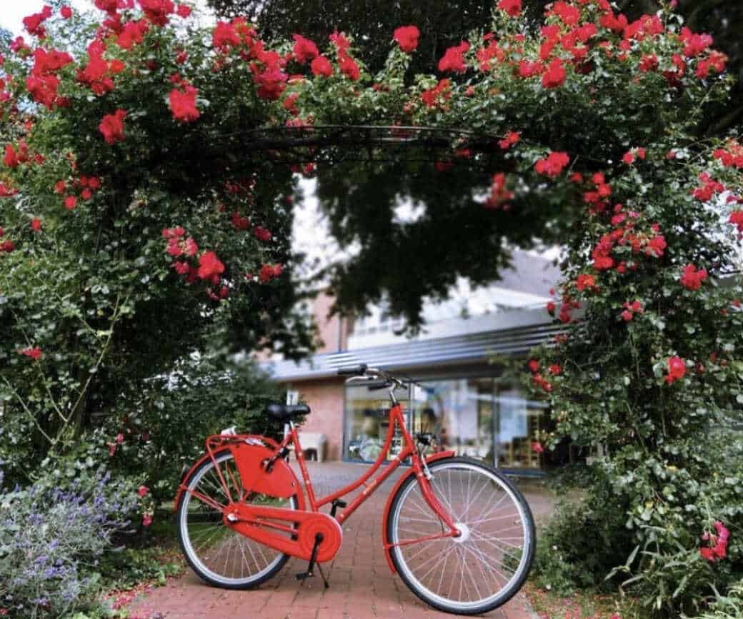 Rotes Fahrrad unter roten Blumen