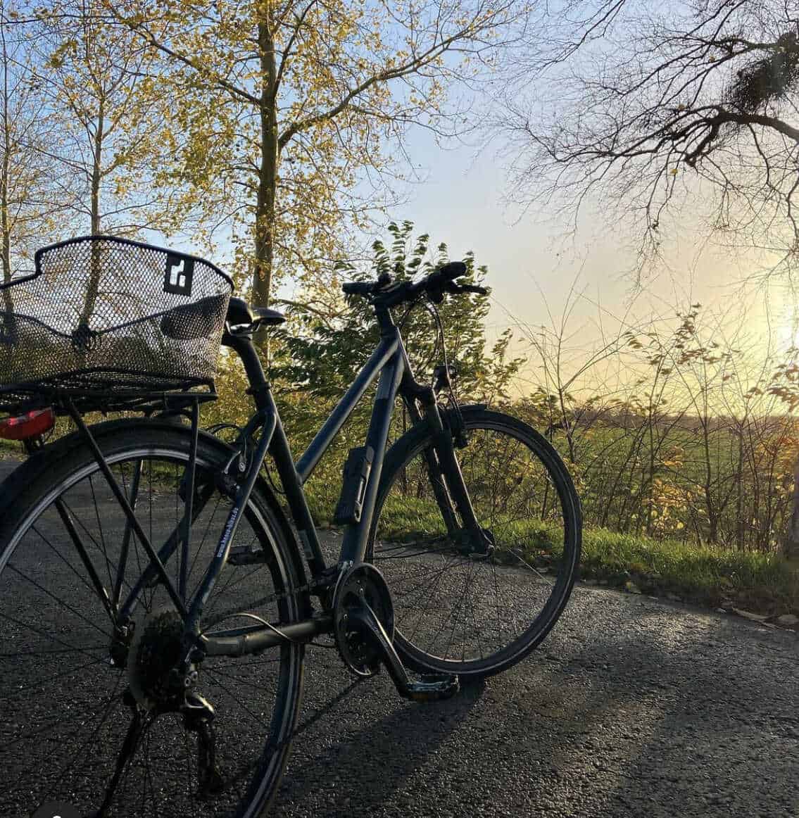 Fahrrad in herbstlicher Umgebung