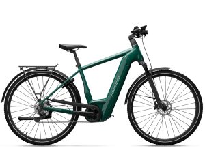E Bike Advanced Trekking Pro mit 5-Gang Nabenschaltung mit Diamant-Rahmen in der Farbe verdigris-green