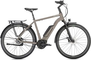 Falter E 9.5 FL mit 545 Wh-Akku als Diamant-Rahmen in der Farbe mid-grey – Ein Höhepunkt moderner E-Bike-Technologie