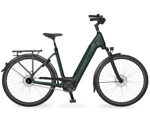 Velo de Ville AEB890 als Wave-Rahmen in der Farbe emerald green matt