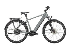 Falter E 9.8 PLUS FL (Freilauf) mit 750 Wh-Akku als Diamant-Rahmen in der Farbe cool grey