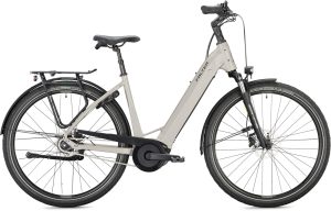 Falter E 9.4 RT (Rücktritt) mit 625 Wh-Akku als Wave-Rahmen in der Farbe warm grey