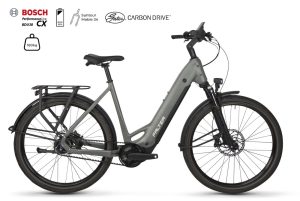 Falter SUB 9.8 FL PLUS mit 500 Wh-Akku als Wave-Rahmen in der Farbe cool grey, Modell 2025