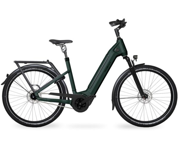 Beschreibung zum Velo de Ville SEB 890 PRO RT (Rücktritt) mit Shimano Nexus-Schaltung & Purion 200-Display als Wave-Rahmen in der Farbe emerald green matt