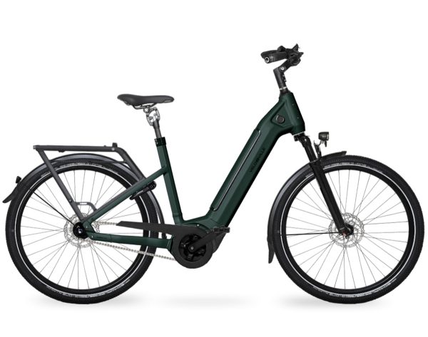 Velo de Ville SEB 890 PRO RT (Rücktritt) mit Shimano Nexus-Schaltung & Kiox 300-Display als Wave-Rahmen in der Farbe emerald green matt