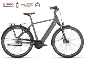 Falter E 9.4 RT (Rücktritt) mit 625 Wh-Akku als Diamant-Rahmen in der Farbe cool grey, Modell 2025