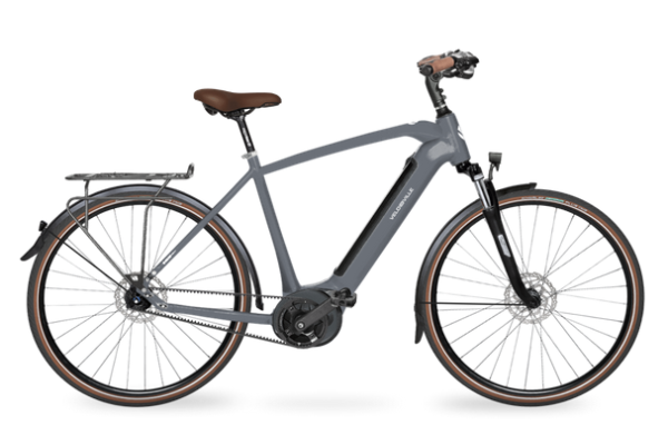 Velo de Ville AEB890 SMOOTH RT (Rücktritt) mit 5-Gang Schaltung, 625 Wh-Akku & wartungsarmer Gates Riemen als Diamant-Rahmen in der Farbe eco grey, Modell 2023