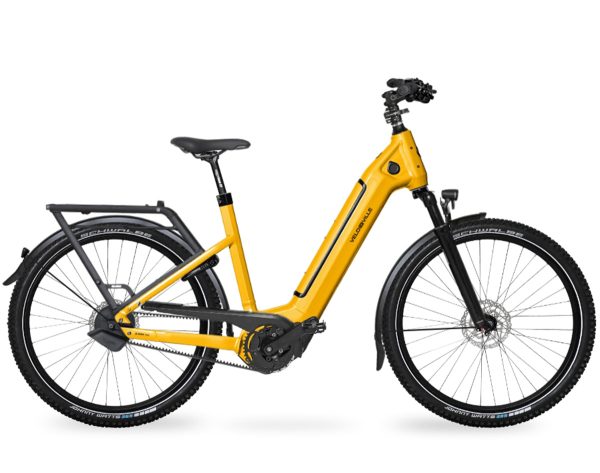 Velo de Ville SEB890 FL (Freilauf) mit stufenlose Nabenschaltung & 500 Wh-Akku als Wave-Rahmen in der Farbe eucalyptus green, Modell 2025