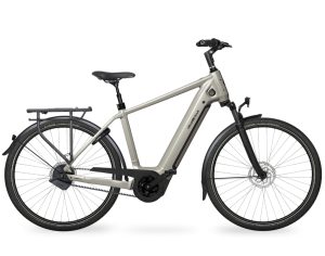 Velo de Ville AEB890 PRO FL (Freilauf) mit stufenlose Nabenschaltung & 625 Wh-Akku als Diamant-Rahmen in der Farbe crystal pearl glossy, Modell 2025
