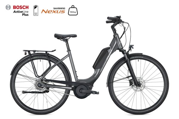 Falter E 9.0 RT 500 Wh Wave cool grey