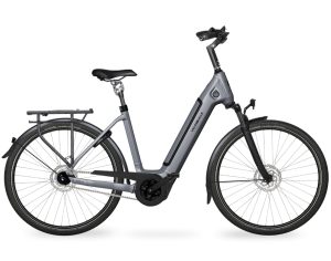 Velo de Ville AEB 890 PRO FL (Freilauf) mit 5-Gang Nabenschaltung & 625 Wh-Akku als Wave-Rahmen in der Farbe stone basalt matt, Modell 2025