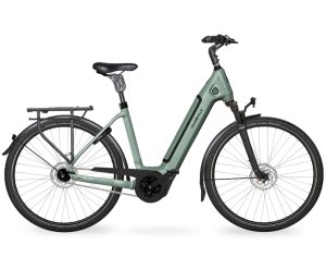 Velo de Ville AEB 890 PRO RT (Rücktritt) mit 5-Gang Nabenschaltung & 500 Wh-Akku als Wave-Rahmen in der Farbe eucalyptus green matt, Modell 2025