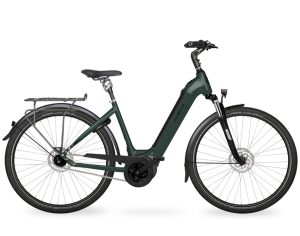 Velo de Ville AEB 890 PURE RT (Rücktritt) mit 5-Gang Nabenschaltung & 625 Wh-Akku als Wave-Rahmen in der Farbe emerald green glanz, Modell 2025