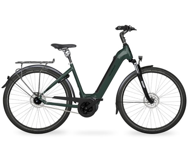 Velo de Ville AEB 890 PURE RT (Rücktritt) mit 5-Gang Nabenschaltung & 625 Wh-Akku als Wave-Rahmen in der Farbe emerald green glanz, Modell 2025