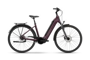 Winora Tria N5 Wave 625 Wh muted fig