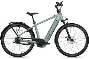 Flyer Gotour 7.43 CX FL Diamant green shading
