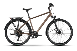 Raymon Zayn Auto Diamant mushroom