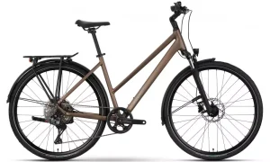 Raymon Zayn Auto Trapez mushroom