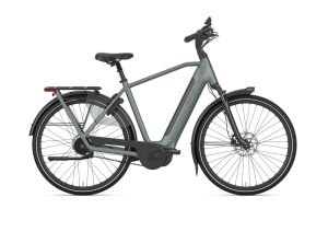 Gazelle Arroyo C5+ First Edition Diamant twilight green