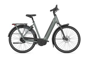 Gazelle Arroyo C5+ First Edition Wave twilight green