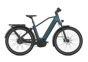 Gazelle ECLIPSE C380 LTD Diamant FL pine green